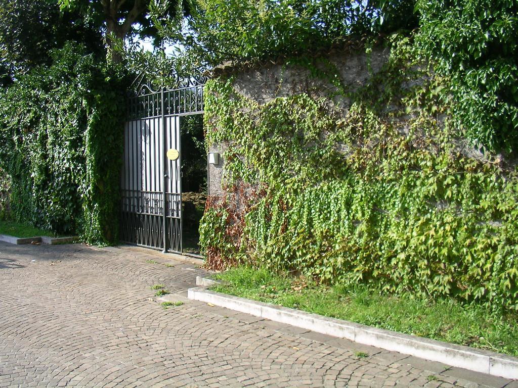 La Patirana Guesthouse Zandobbio Ngoại thất bức ảnh