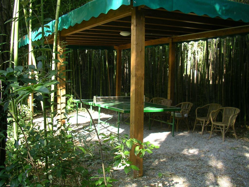 La Patirana Guesthouse Zandobbio Ngoại thất bức ảnh